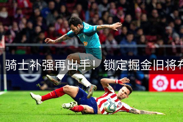 骑士补强再出手！锁定掘金旧将布朗剑指东决